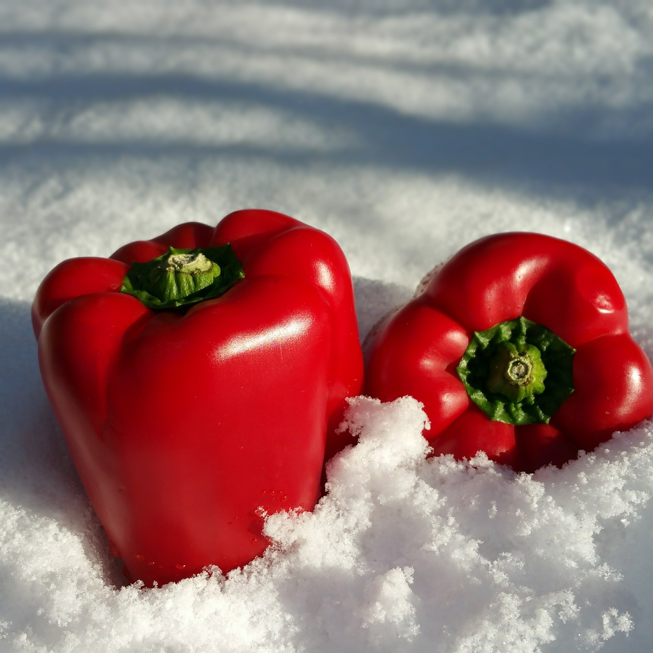 Paprika, Sniegas, Raudona, Daržovės, Žiema, Nemokamos Nuotraukos,  Nemokama Licenzija