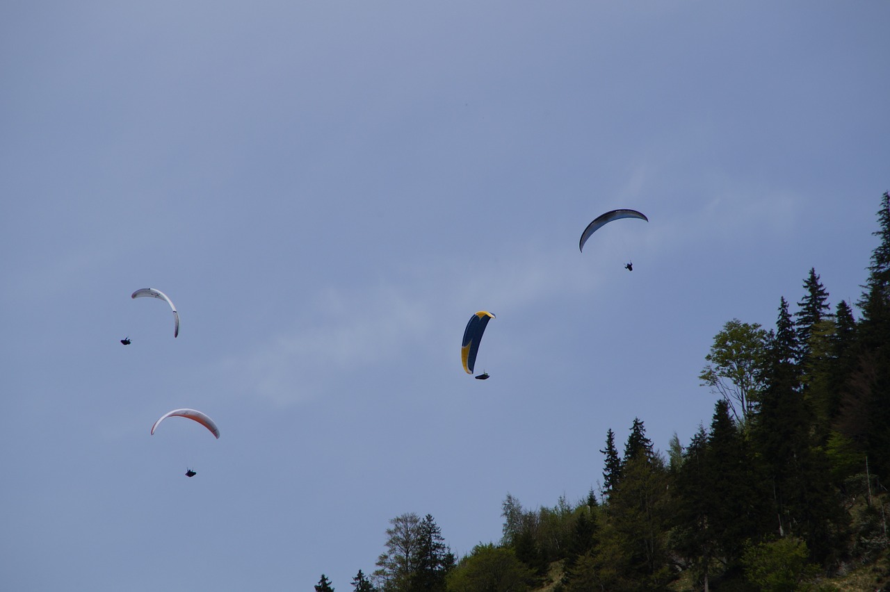 Parašiutas, Parašiutautojas, Sklandytuvu, Čempionatas, Bavarian, Dangus, Mėlynas, Skristi, Plūdė, Slide