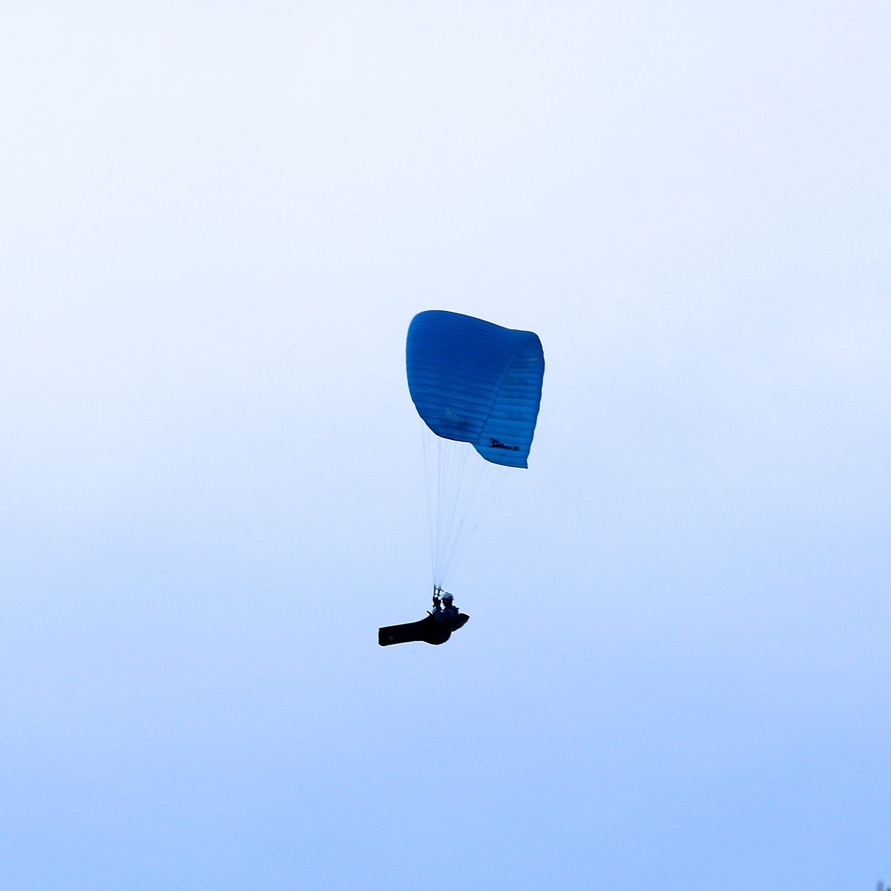 Paragliding, Projektai, Vėjas, Ekranas, Oras, Himmel, Nemokamos Nuotraukos,  Nemokama Licenzija