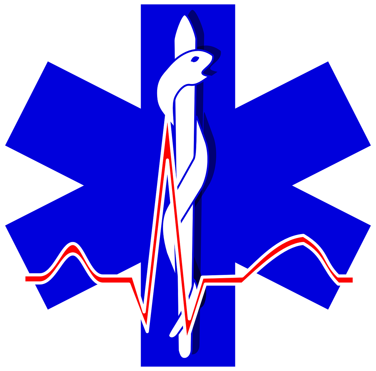 Paramedikas, Logotipai, Simboliai, Ženklai, Medicina, Gyvatė, Medicinos, Ligoninė, Paramedicinos, Medic