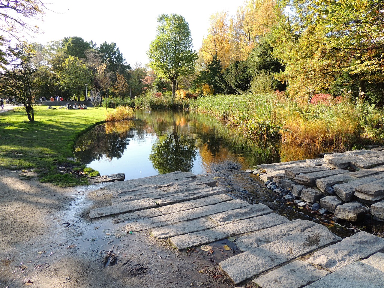 Parc, Amsterdamas, Nyderlandai, Holland, Žalias, Nemokamos Nuotraukos,  Nemokama Licenzija