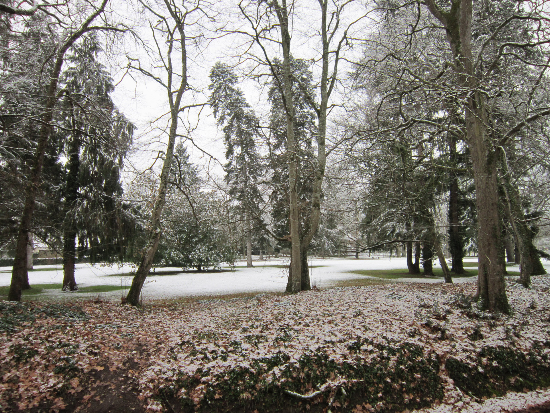 Parkas,  Žiema,  Parkas Žiemą, Nemokamos Nuotraukos,  Nemokama Licenzija