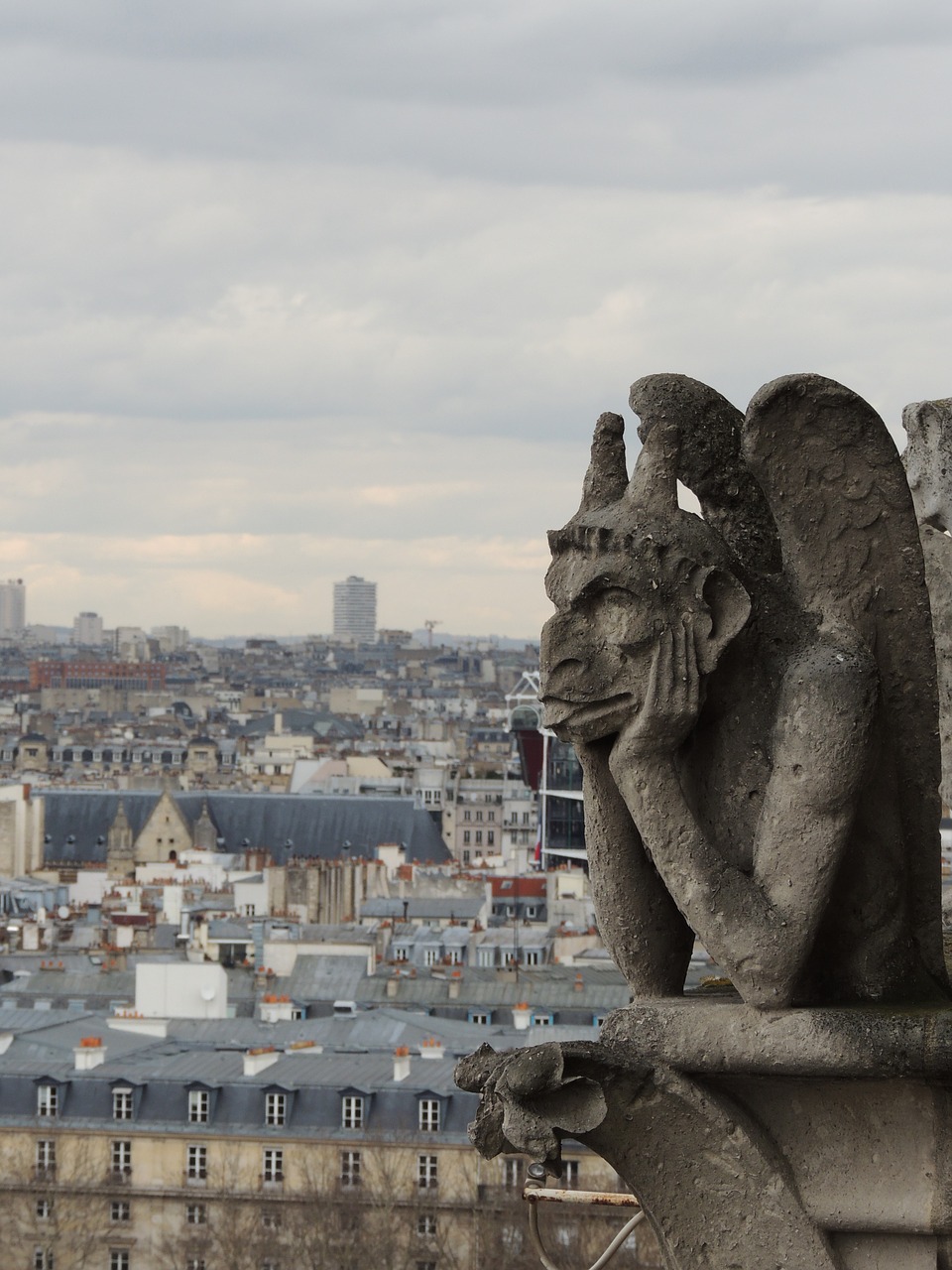 Paris, Gargoyle, Groteskas, Notre Dame, France, Katedra, Prancūzų Kalba, Orientyras, Bažnyčia, Dame