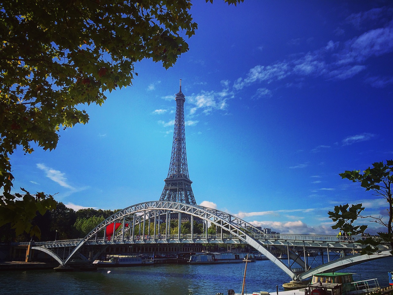 Paris, France, Medžiai, Europa, Kelionė, Bokštas, Architektūra, Orientyras, Prancūzų Kalba, Turizmas