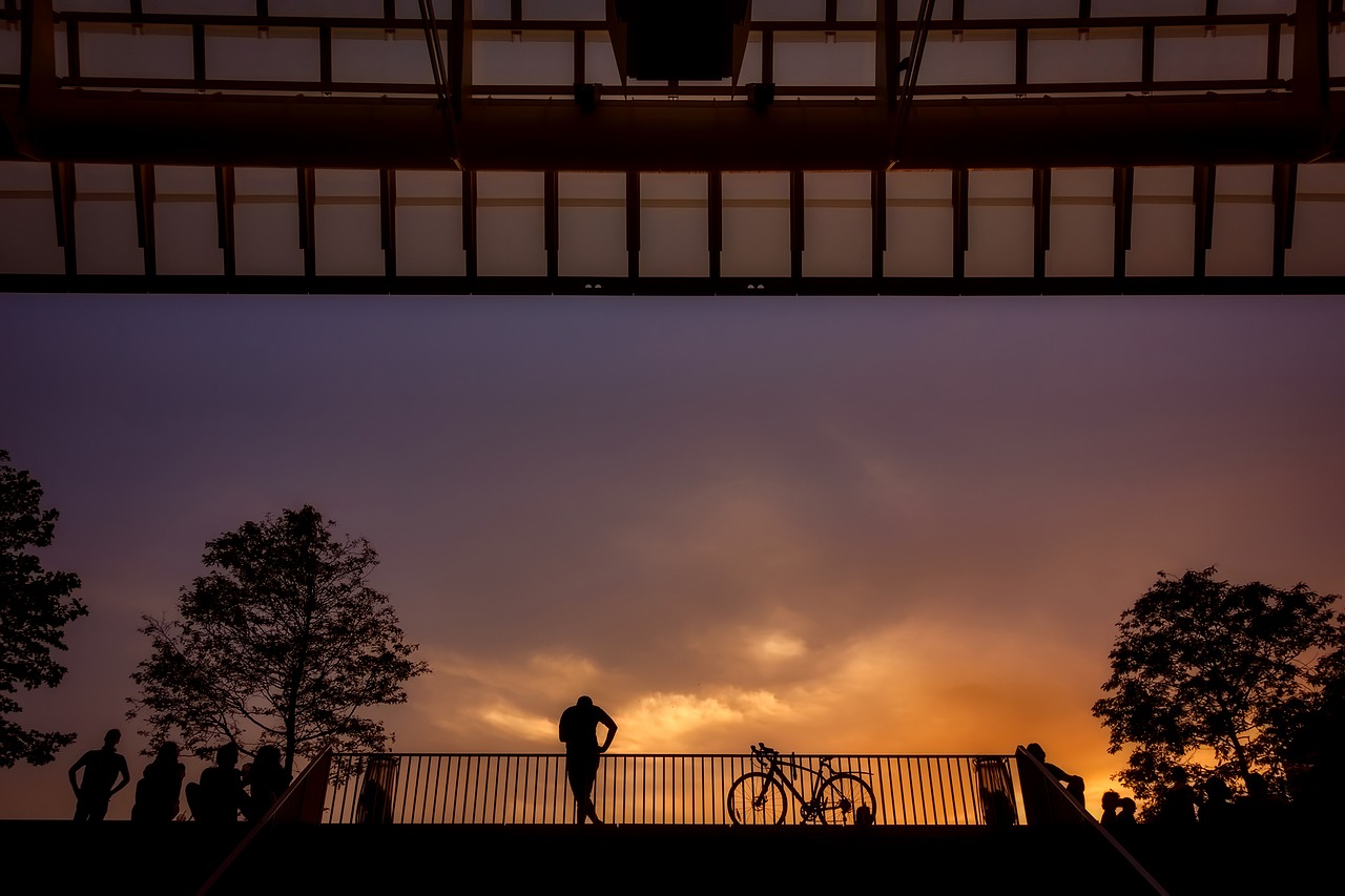 Paris, France, Saulėlydis, Dusk, Skaičiai, Dviratis, Siluetai, Viršelis, Struktūra, Medžiai