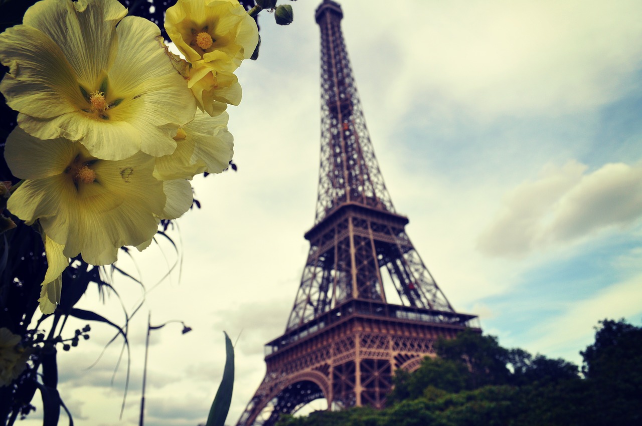 Paris, Eifelio Bokštas, France, Bokštas, Kelionė, Gėlė, Meilė, Turistų Atrakcijos, Eifelis, Lankytinos Vietos