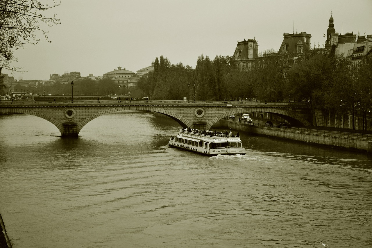 Paris, Tiltas, Architektūra, France, Paminklas, Seine, Promenada, Vintage, Grunge, Nemokamos Nuotraukos