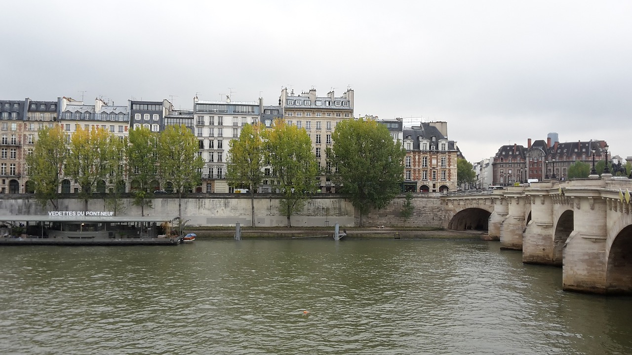 Paris, Senna, Pont Neuf, Vanduo, Tiltas, France, Kraštovaizdis, Vaizdas, Miesto, Upė