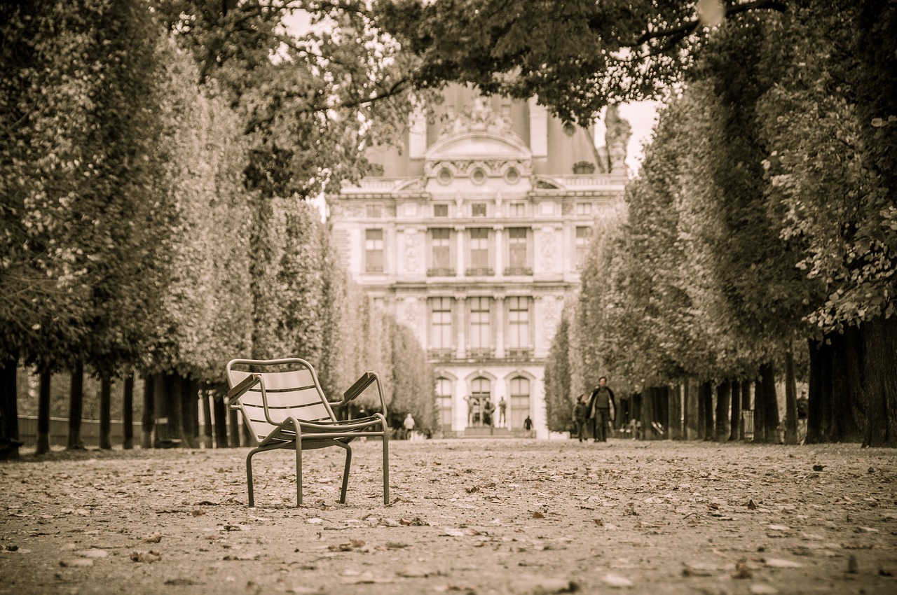 Paris,  Tuileries,  Parkas,  Alėja,  Kėdė, Nemokamos Nuotraukos,  Nemokama Licenzija