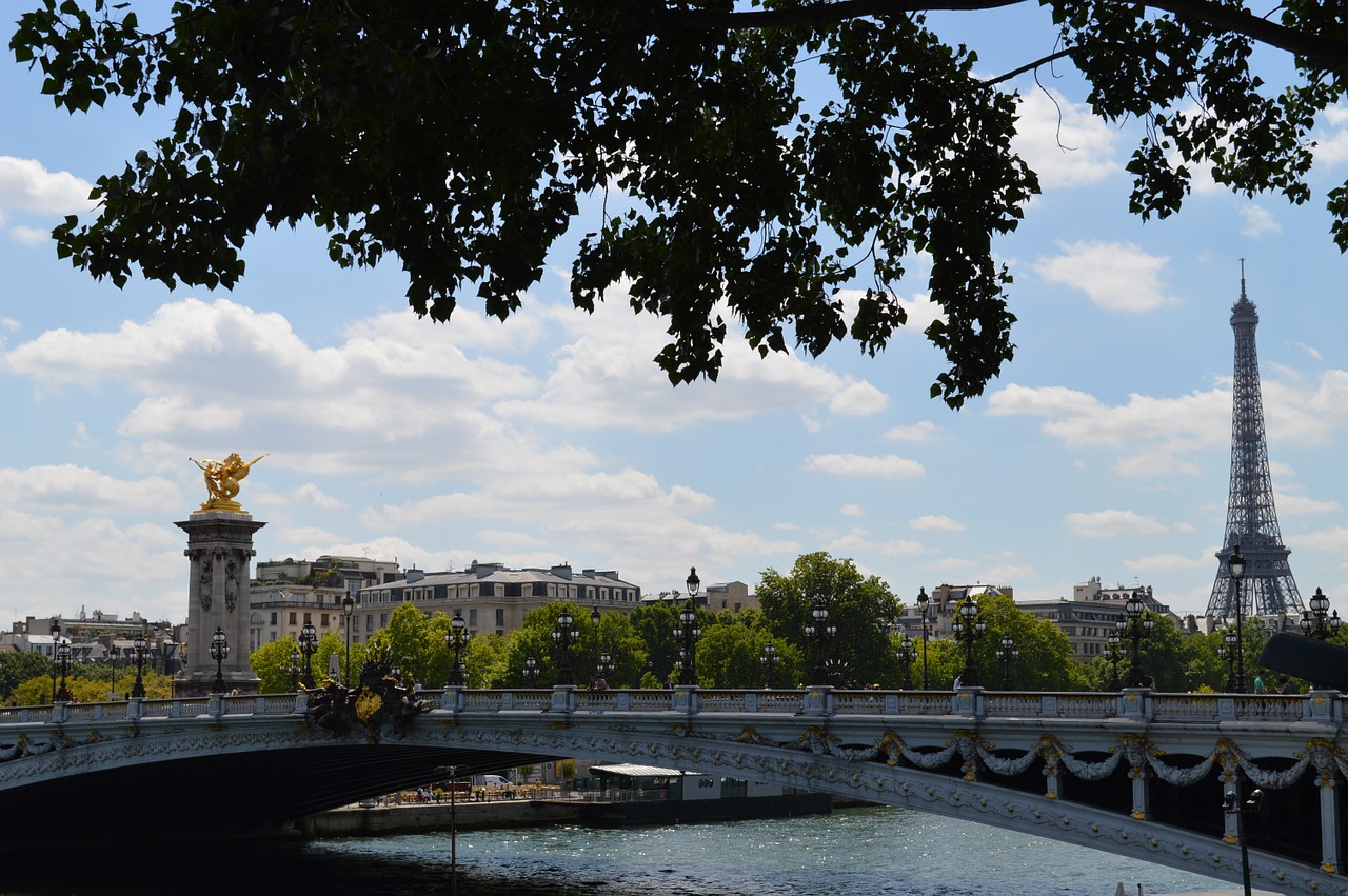 Paris, Alexandre Iii Tiltas, Eifelio Bokštas, Panorama, Miestas, Nemokamos Nuotraukos,  Nemokama Licenzija