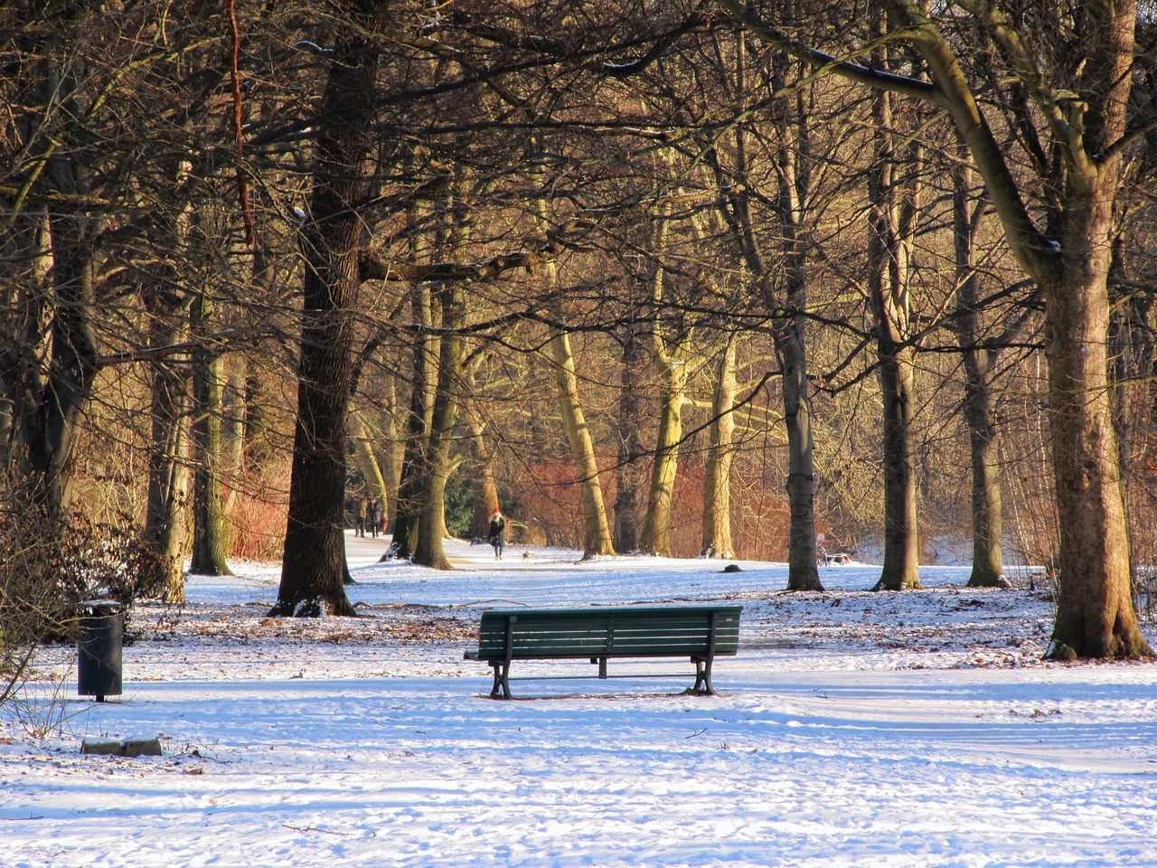 Parkas, Žiema, Tiergarten, Berlynas, Bankas, Parko Suoliukas, Sniegas, Medžiai, Žiemą, Snieguotas