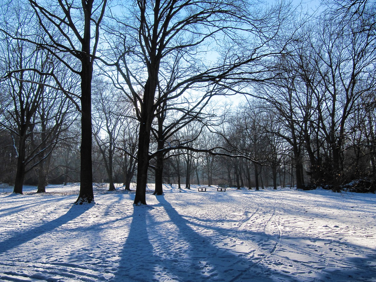 Parkas, Žiema, Tiergarten, Berlynas, Sniegas, Medžiai, Žiemą, Snieguotas, Nuotaika, Nemokamos Nuotraukos