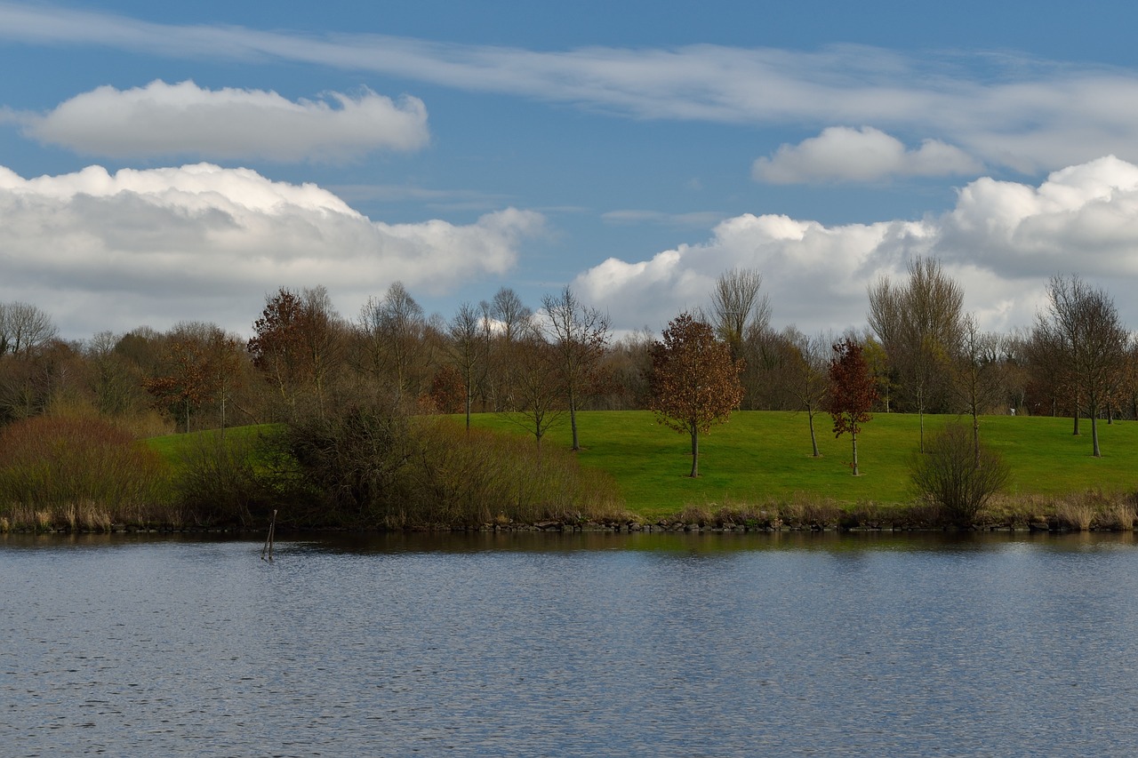 Park Craigavon, Ežeras, Papludimys, Krūmai, Dangus, Nemokamos Nuotraukos,  Nemokama Licenzija