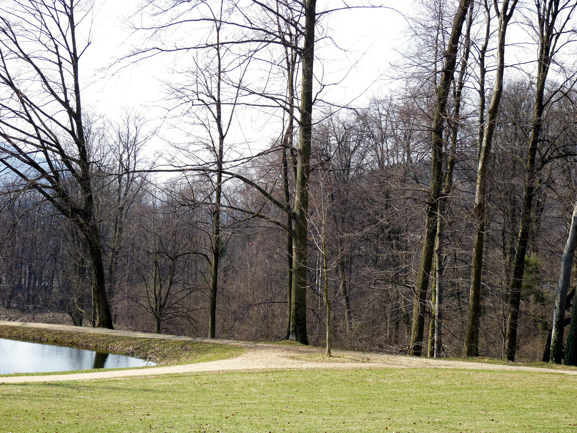 Parkas,  Kraštovaizdis,  Parkas, Nemokamos Nuotraukos,  Nemokama Licenzija