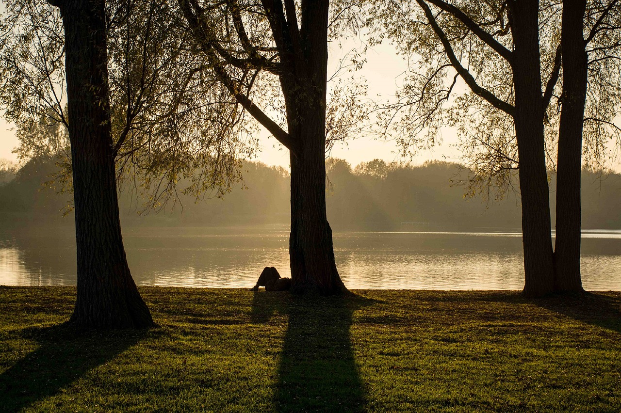 Parkas, Medžiai, Šešėliai, Saulėlydis, Dusk, Twilight, Siluetai, Asmuo, Atsilenkimas, Upė