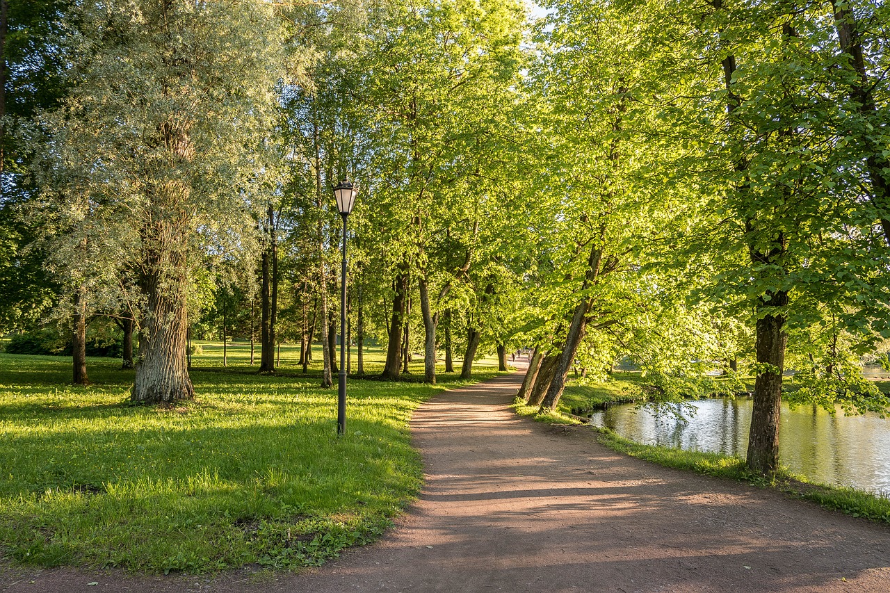 Parkas, Gatchina, Vaikščioti, Gražiai, Vakaras, Šiluma, Vasara, Rusija, Kraštovaizdis, Gamta