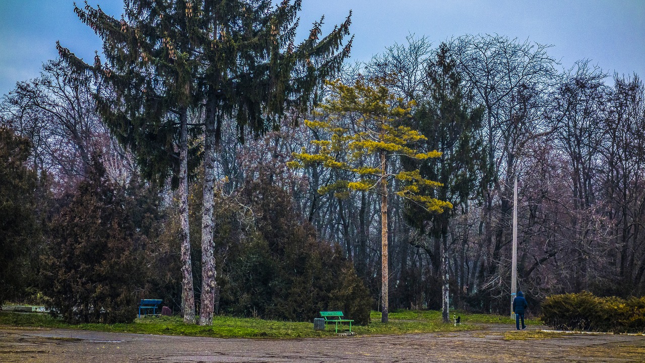 Parkas, Kunigaikštis, Odessa, Medžiai, Nemokamos Nuotraukos,  Nemokama Licenzija