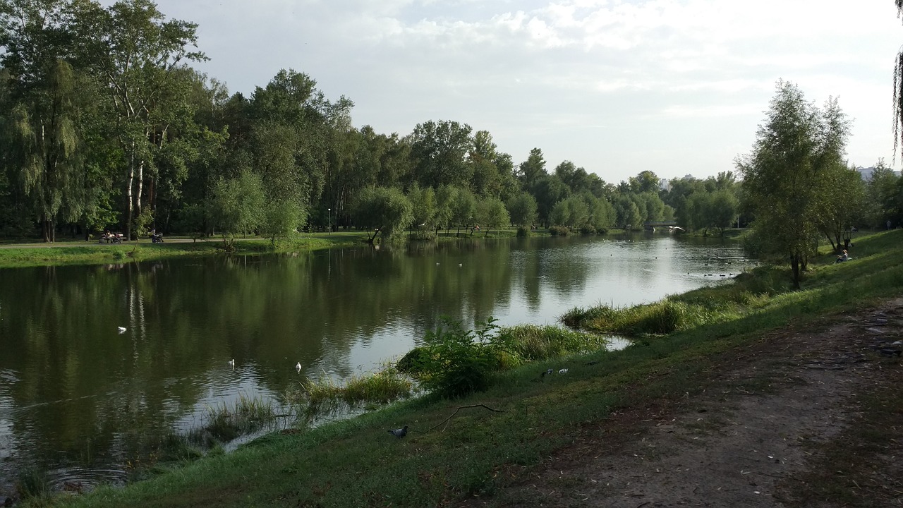 Parkas, Ežeras, Miškas, Medžiai, Medis, Gamta, Kraštovaizdis, Vanduo, Upė, Atspindys