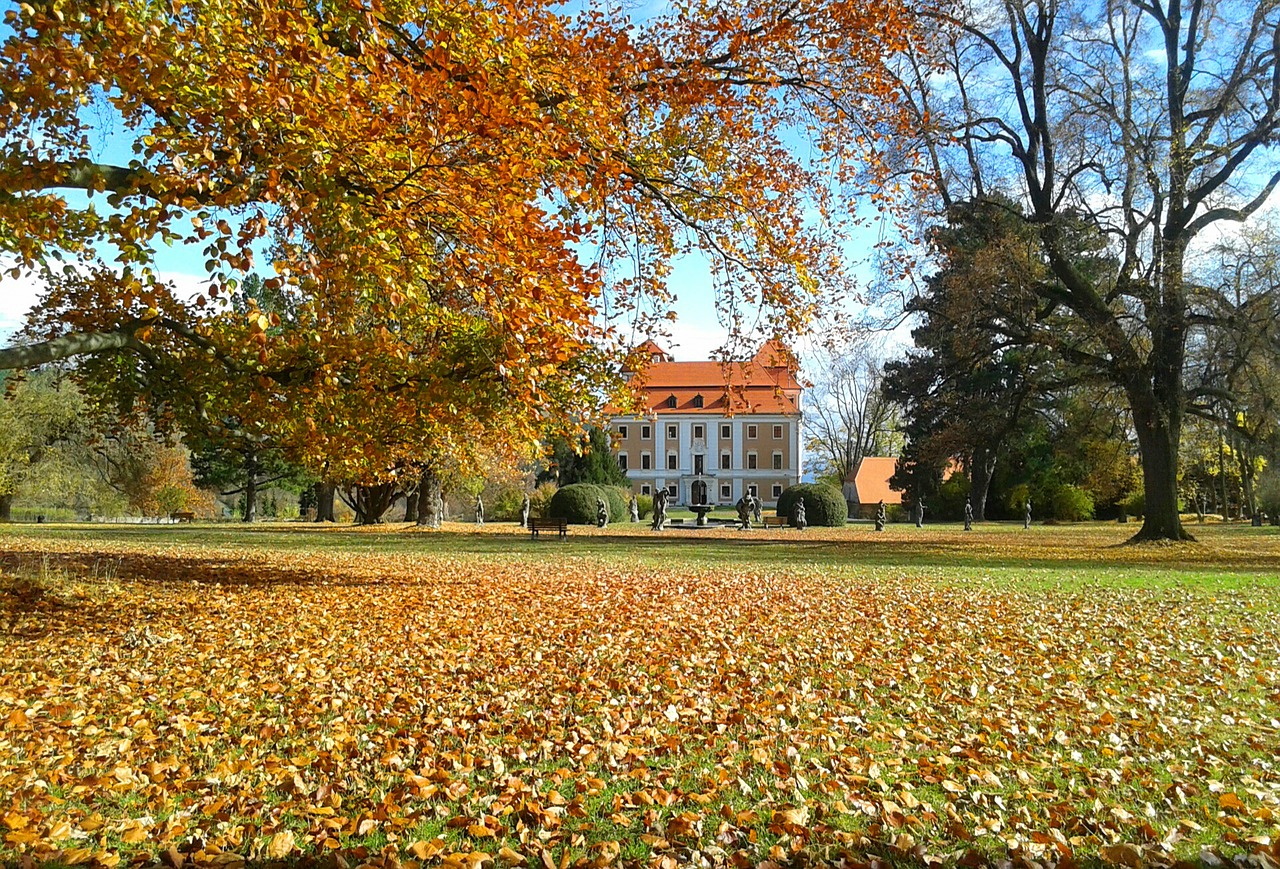 Parkas,  Pilis,  Čekija,  Chateau,  Medžiai,  Kristi,  Sezonas,  Lapų,  Ruduo,  Spalio Mėn