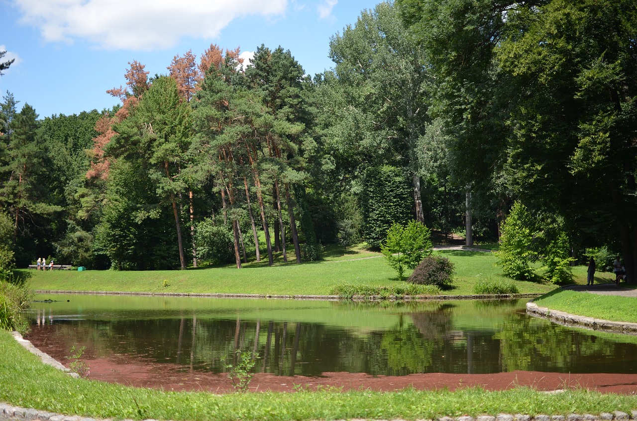 Parkas,  Pobūdį,  Žalias,  Kraštovaizdis,  Laukas, Nemokamos Nuotraukos,  Nemokama Licenzija