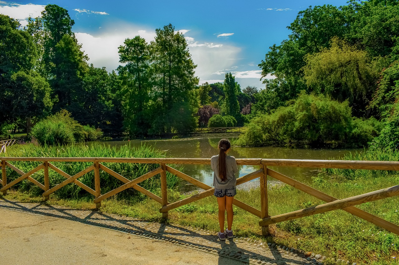 Parkas,  Ežeras,  Miškas,  Mergina,  Rytą,  Saulės Šviesa,  Kraštovaizdis,  Pobūdį,  Tvenkinys,  Idiliškas