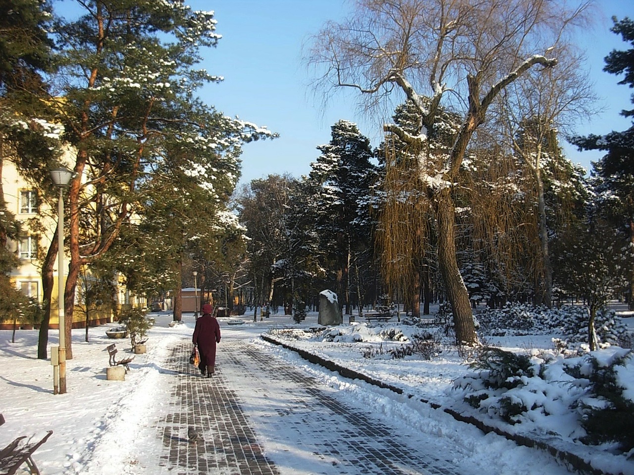 Parkas, Žiema, Sniegas, Ledas, Kraštovaizdis, Medžiai, Gamta, Lauke, Miestas, Miesto