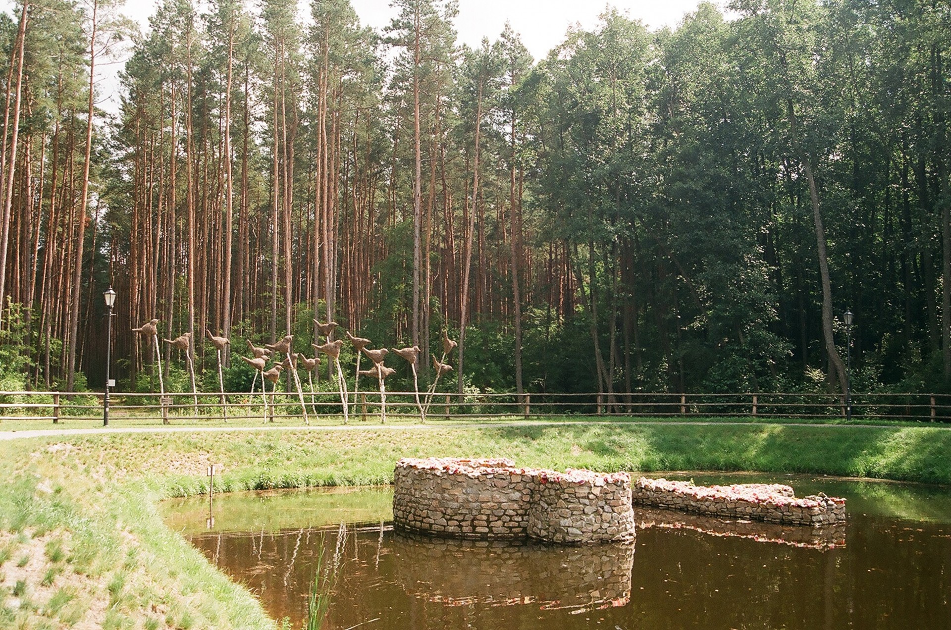 Parkas,  Pobūdį,  Zoo,  Liublinas,  Lenkija,  Parkas Zwierzyniec, Nemokamos Nuotraukos,  Nemokama Licenzija