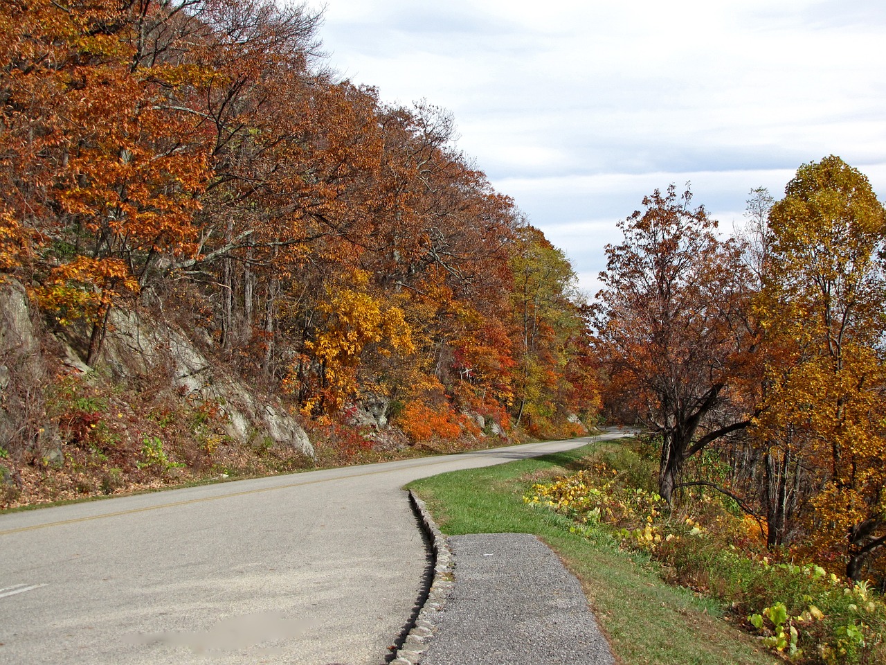 Parkway, Virginia, Gamta, Kraštovaizdis, Vaizdingas, Apalachianas, Peizažas, Spalvinga, Medžiai, Sezonas