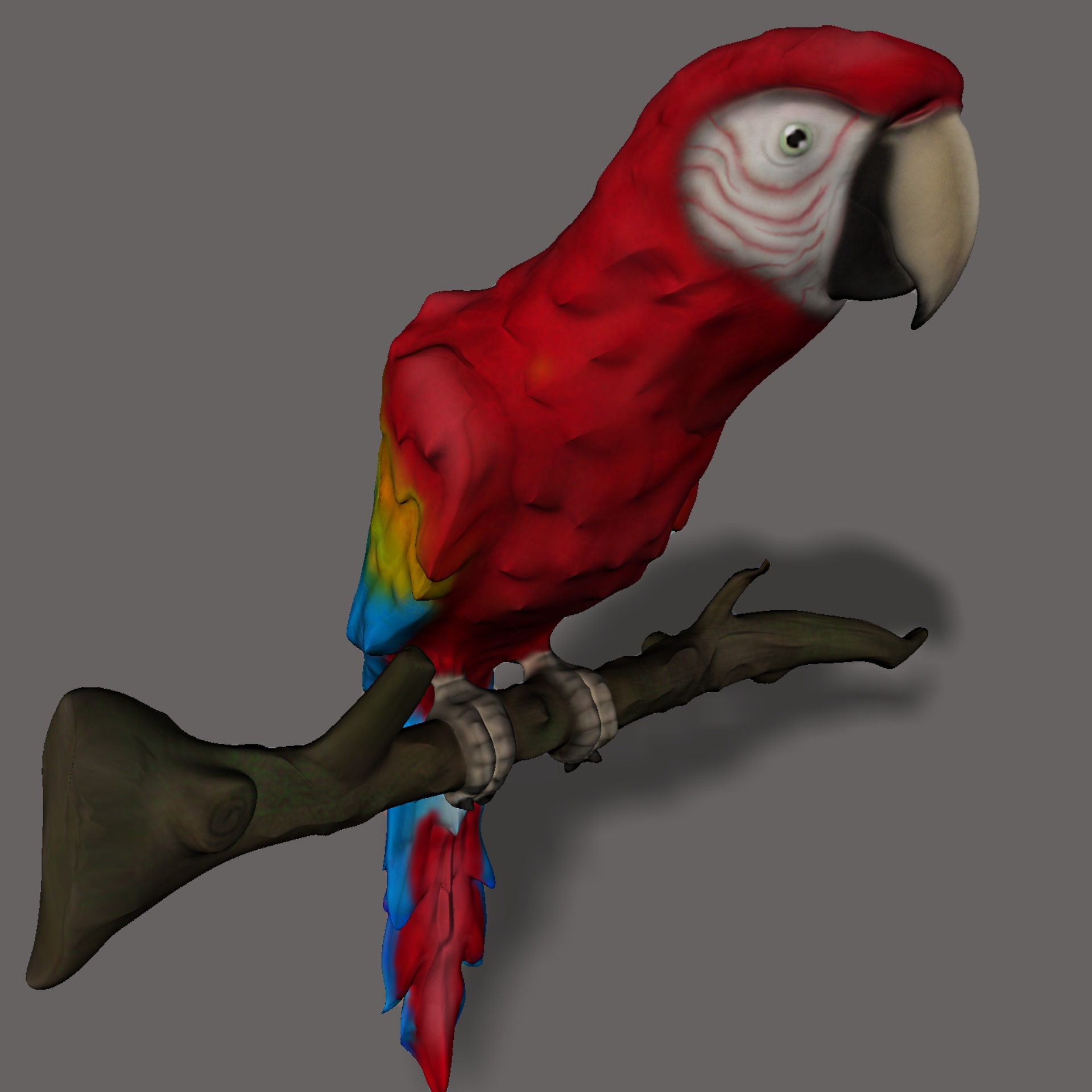 Paukštis,  Spalva,  Papūga,  Raudona,  Macaw,  3D,  Tonas,  Piešimas,  Sėdi,  Filialas