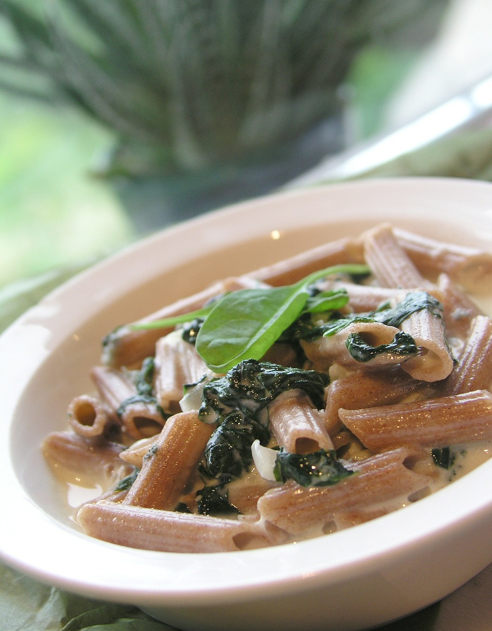 Makaronai, Penne, Špinatų Tešlos Gaminiai, Špinatai, Pietūs, Vakarienė, Itališkas Maistas, Spalva, Ispanų, Nemokamos Nuotraukos