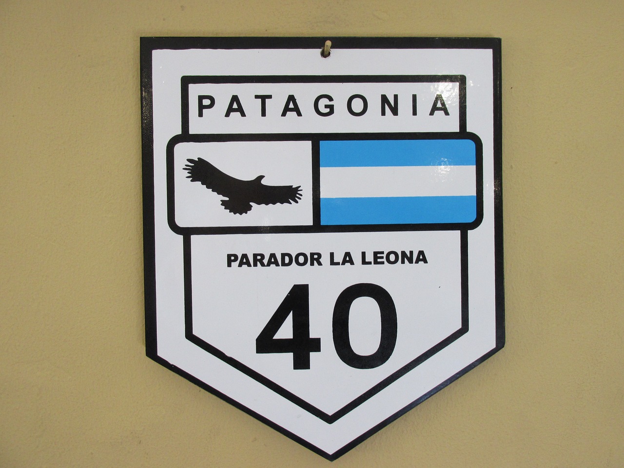 Patagonia, Plakatas, Šaltas, Ave, Skrydis, Sparnai, Paukštis, Skristi, Dangus, Skraidantis