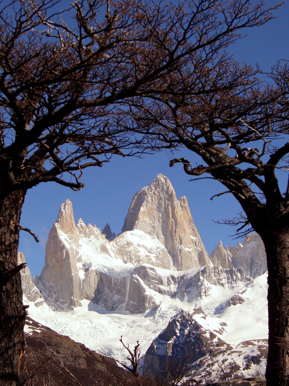 Patagonia, Argentina, Fitz Roy, Cerro Torre, Sniegas, Kalnai, Medžiai, Gamta, Lauke, Gražus