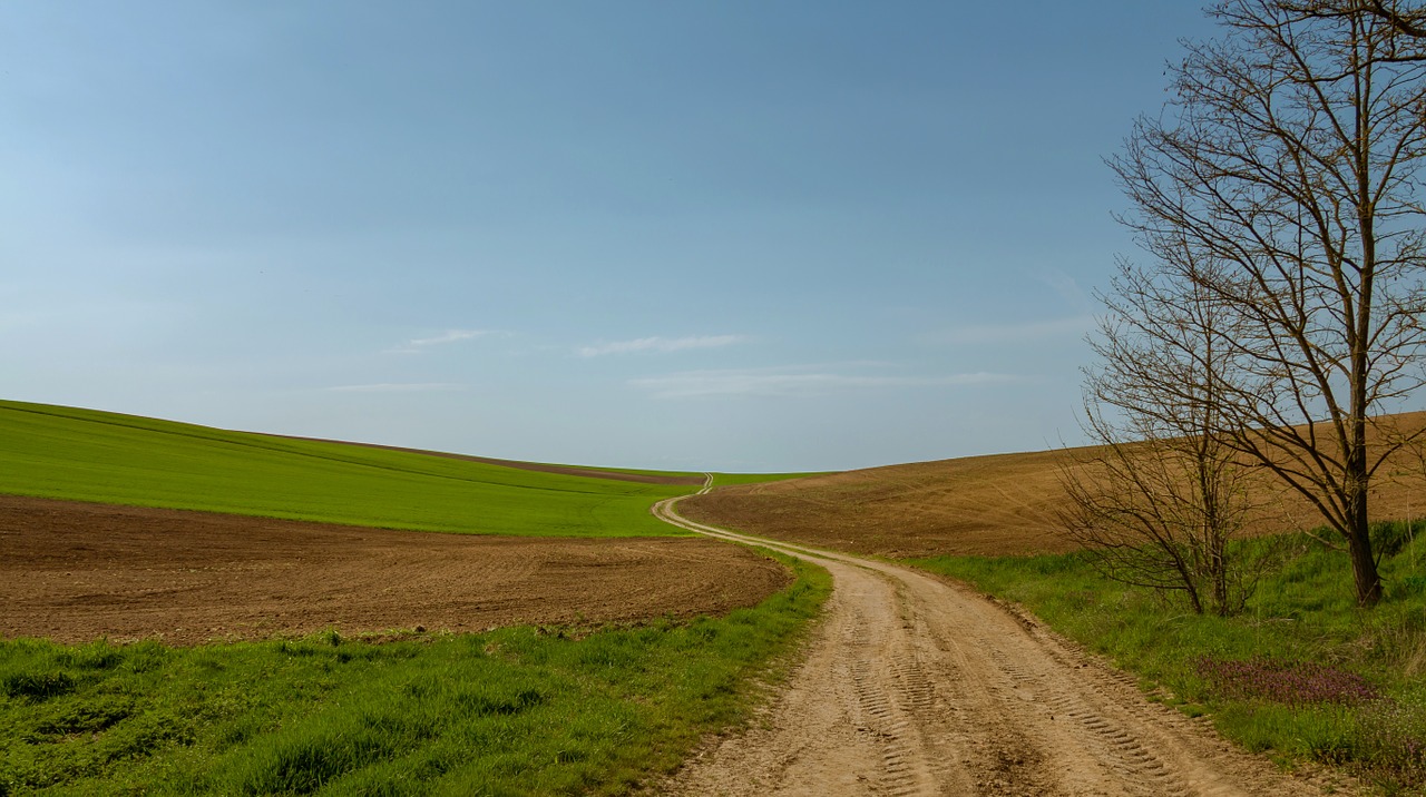 Kelias, Laukas, Laukai, Juostos, Gamta, Medis, Žolė, Purvo Kelias, Nemokamos Nuotraukos,  Nemokama Licenzija