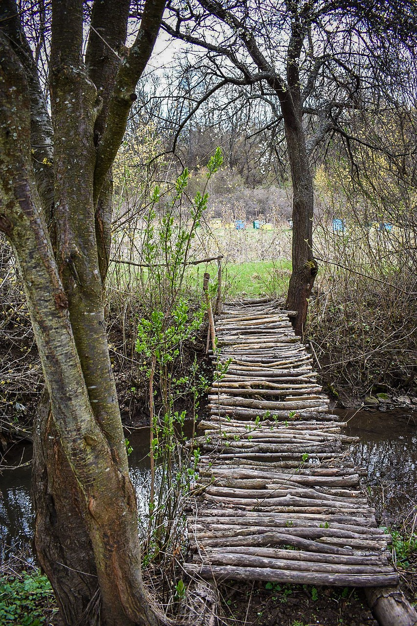 Kelias, Tiltas, Parkas, Mediena, Nemokamos Nuotraukos,  Nemokama Licenzija