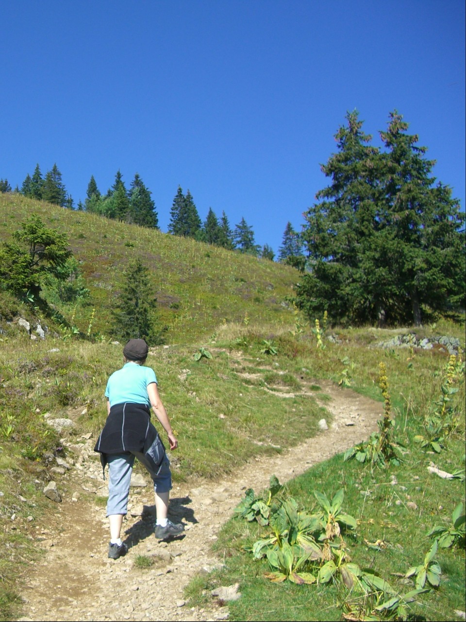 Kelias, Migracijos Kelias, Tvirtas Vanduo, Kalnų Kelias, Takas, Toli, Žygis, Žygiai, Keliautojas, Moteris