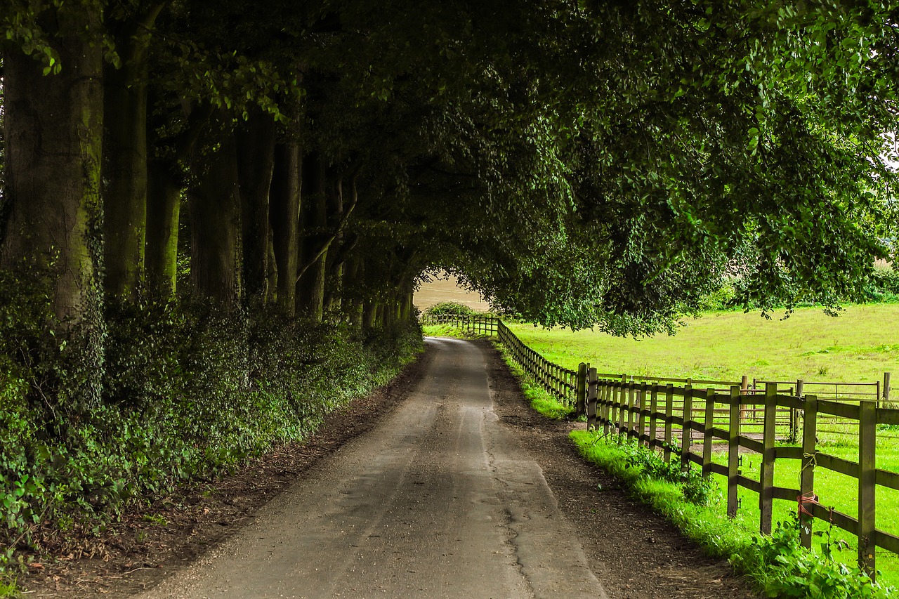 Kelias, Ūkis, Gamta, Anglija, Nemokamos Nuotraukos,  Nemokama Licenzija