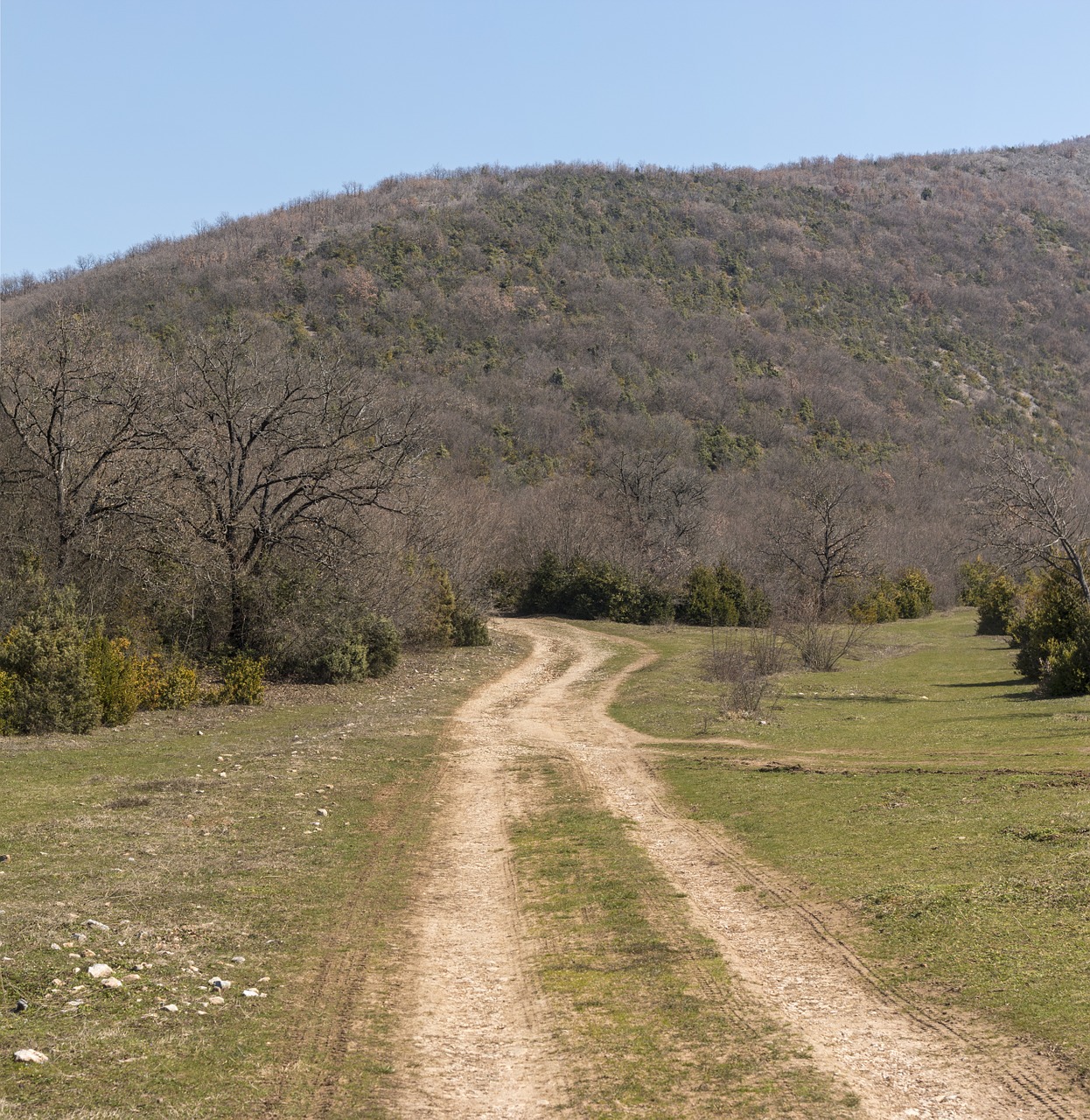 Kelias, Miškas, Kalnas, Gamta, Žalias, Kraštovaizdis, Miškai, Kelias, Takas, Vaikščioti