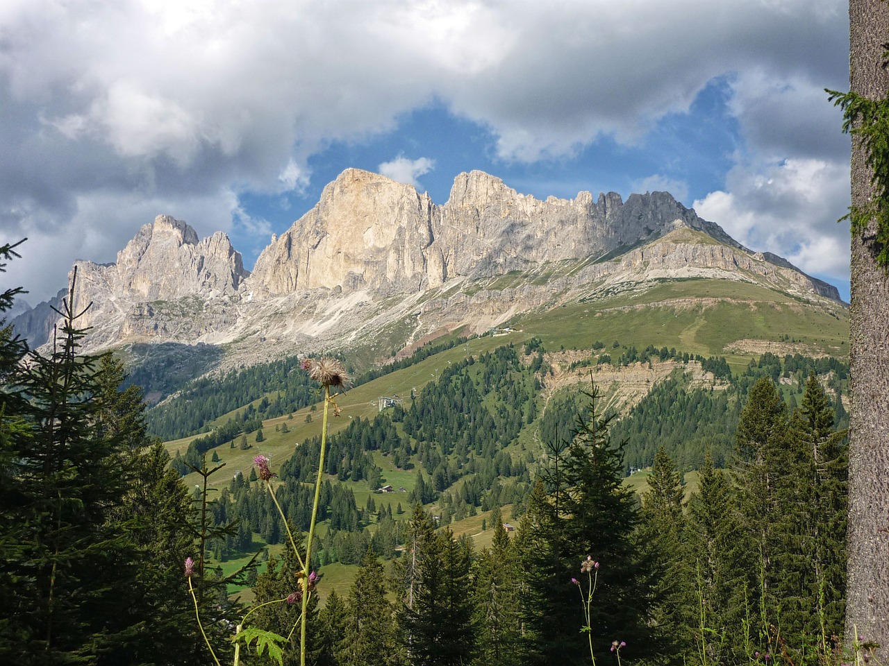 Dolomitai, Medžiai, Kalnas, Miškas, Kraštovaizdis, Visžalis, Nemokamos Nuotraukos,  Nemokama Licenzija