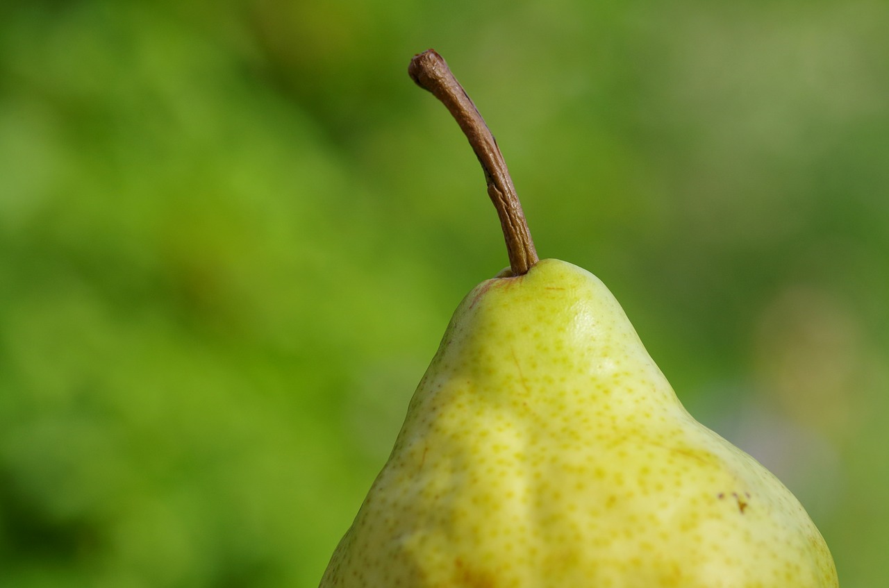 Kriaušė, Vaisiai, Vaisiai, Geltona, Gamta, Vitaminai, Frisch, Netikėtas, Nemokamos Nuotraukos,  Nemokama Licenzija