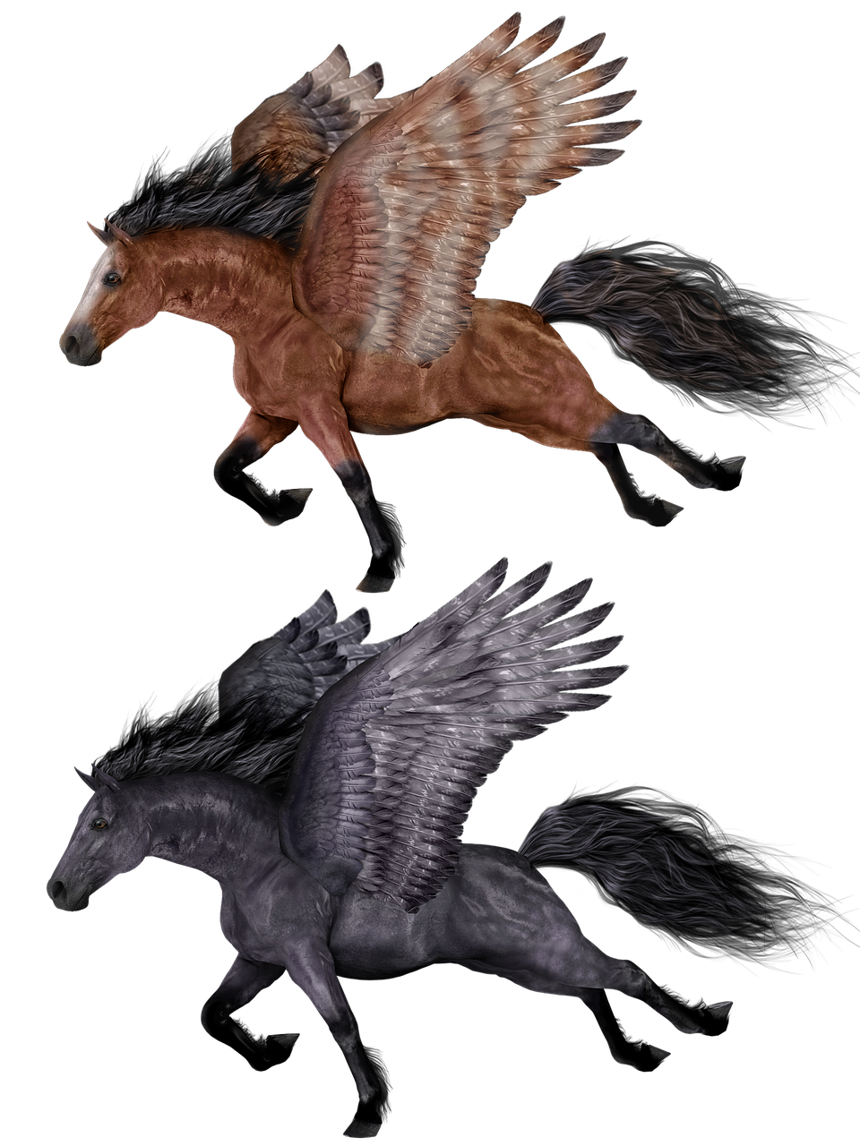 Pegasus,  Skraidantis,  Arklys,  Ponis,  Legenda,  Legendinis,  Fantazija,  Mitas,  Mitologinis,  Magija