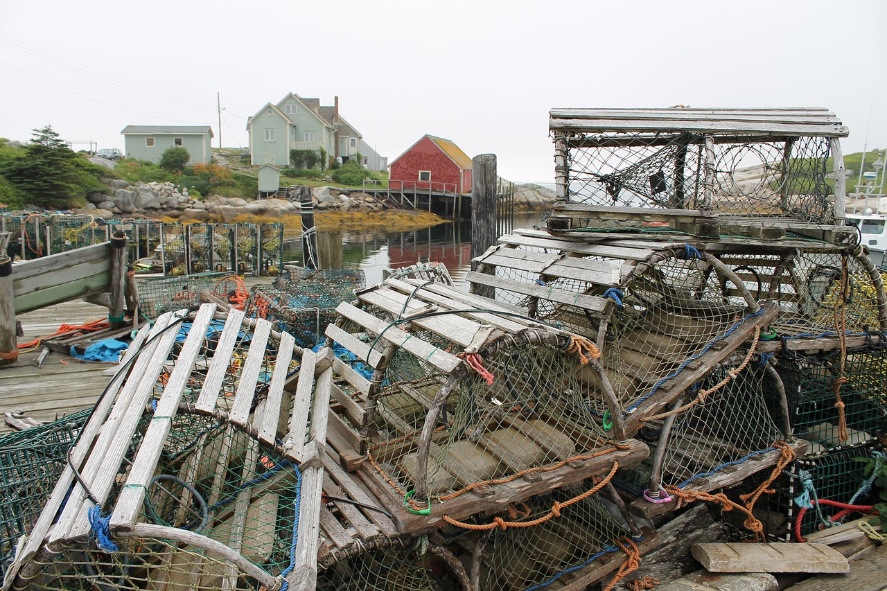 Peggys Cove, Omarų Spąstai, Prieplauka, Žuvininkystė, Nemokamos Nuotraukos,  Nemokama Licenzija