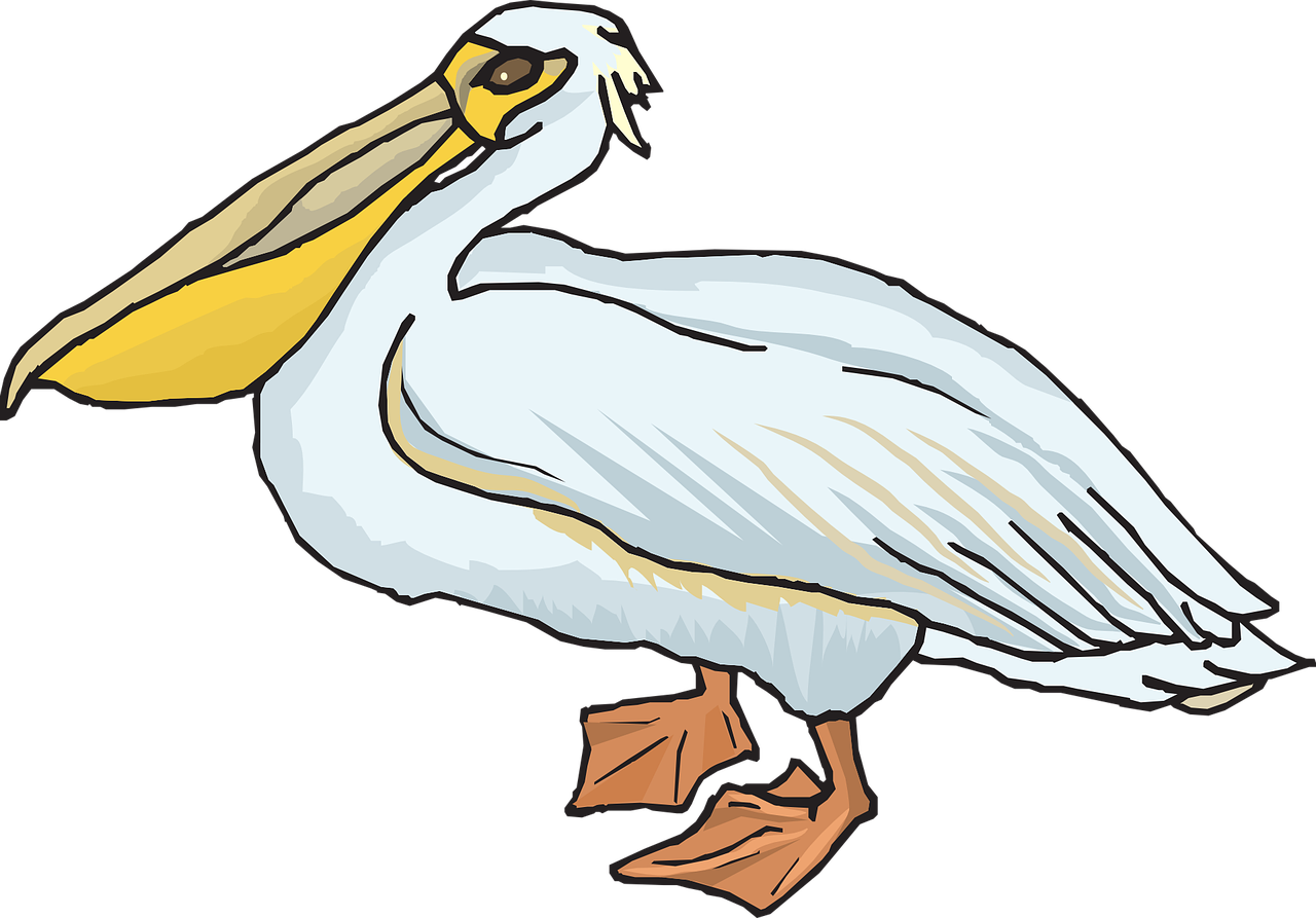 Pelican, Jūros Paukštis, Maišas, Pelecanidae, Pelecanus Erythrorhynchos, Nemokama Vektorinė Grafika, Nemokamos Nuotraukos,  Nemokama Licenzija