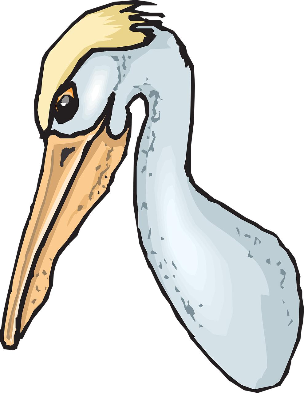 Pelican, Jūros Paukštis, Maišas, Pelecanus Erythrorhynchos, Pelecanidae, Nemokama Vektorinė Grafika, Nemokamos Nuotraukos,  Nemokama Licenzija