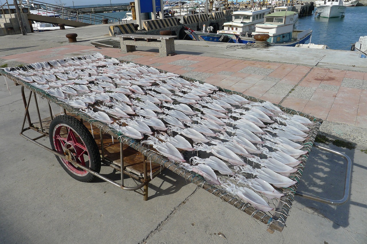 Penghu, Saulės Gėlės, Balta, Liaudies Papročiai, Nemokamos Nuotraukos,  Nemokama Licenzija