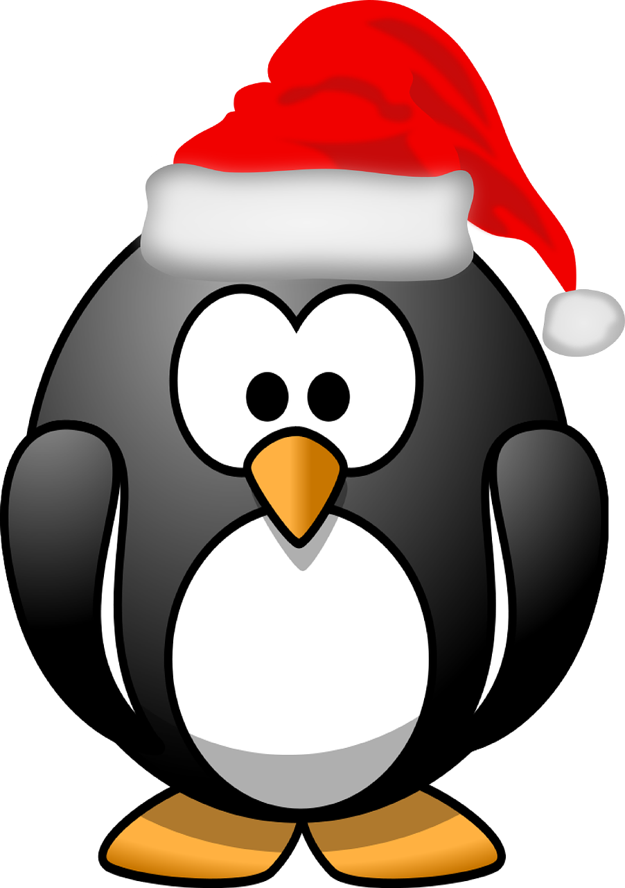 Pingvinas, Xmas, Kalėdų Senelis, Tux, Santa, Skrybėlę, Santa Skrybėlė, Nikolas, Kalėdos, Raudona Kepurė