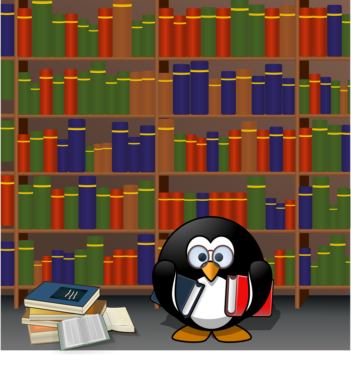 Pingvinas, Knygos, Biblioteka, Geriausiai Parduodamas, Kultūra, Švietimas, Juokinga, Vaizduotė, Literatūra, Laukinė Gamta