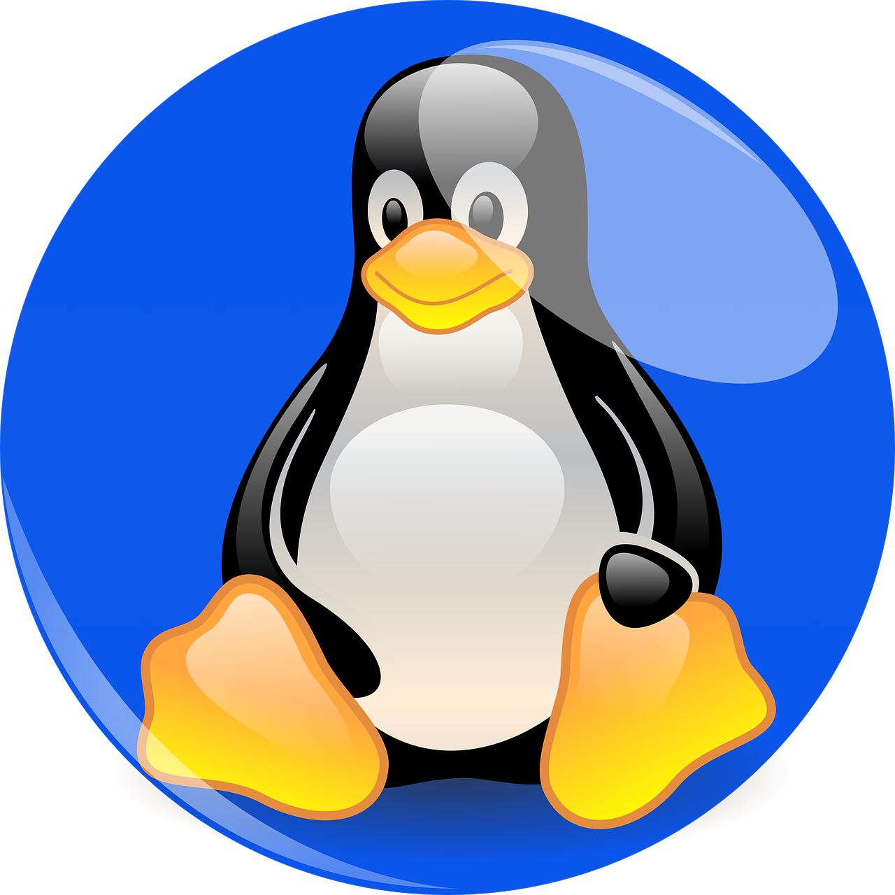 Pingvinas, Linux, Talismanas, Mėlynas, Animacinio Filmo Herojus, Figūra, Piešimas, Nemokamos Nuotraukos,  Nemokama Licenzija