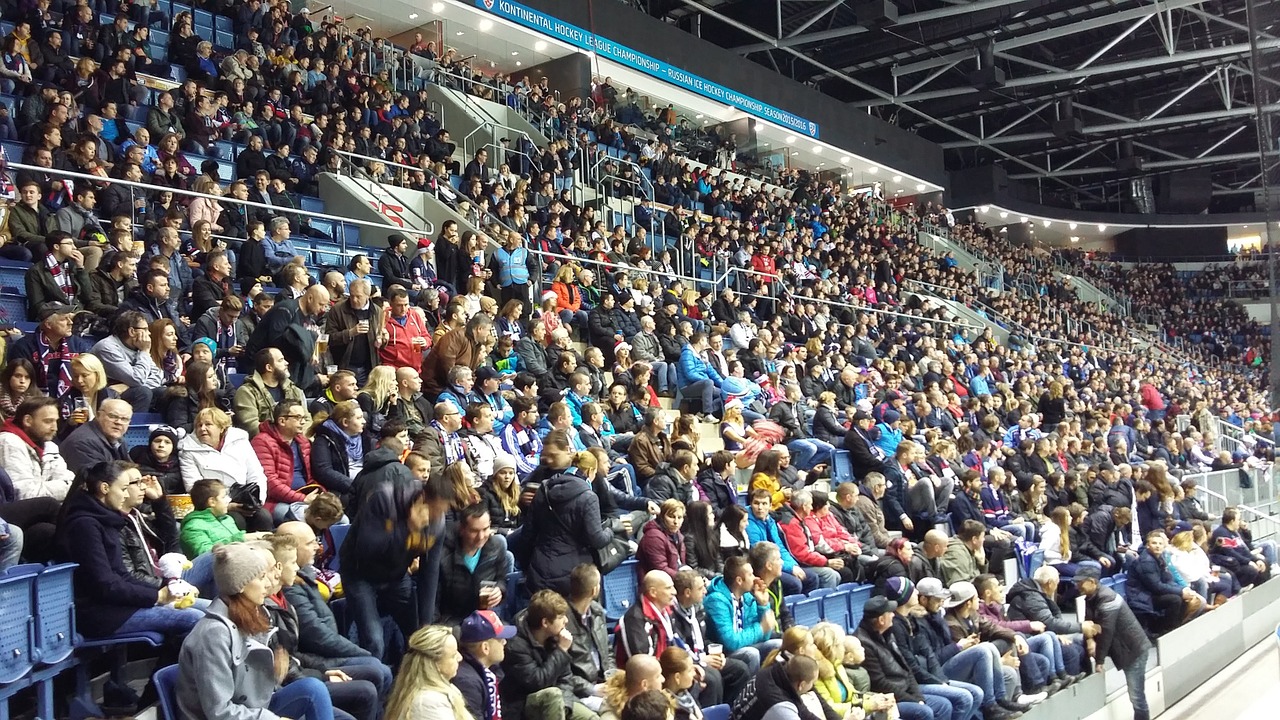 Žmonės, Žiūrovai, Ledo Ritulys, Žiūrėti, Auditorija, Rungtynės, Žiemos Stadionas, Bendravimas, Nemokamos Nuotraukos,  Nemokama Licenzija