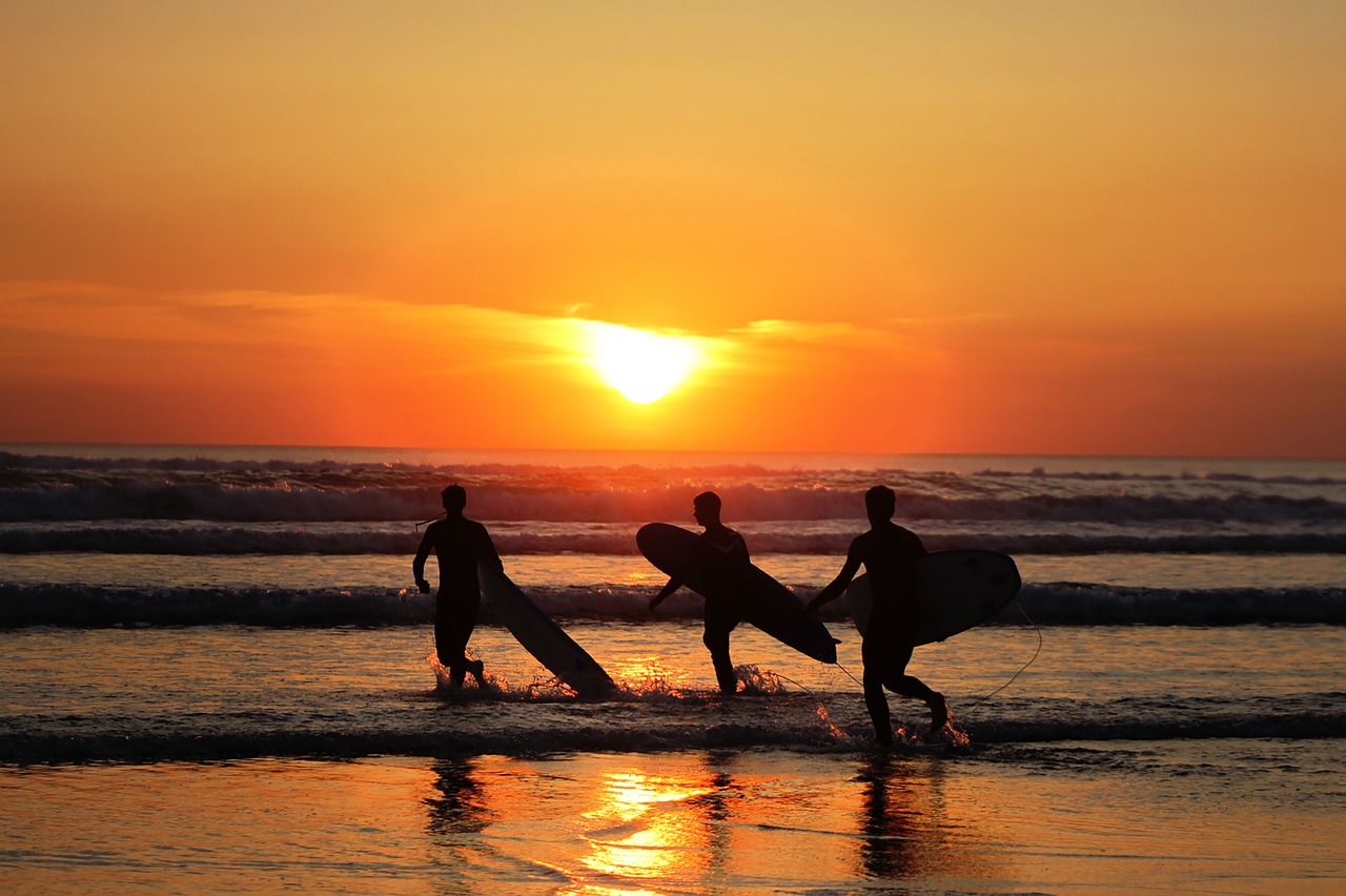 Žmonės, Vyrai, Surfer, Sportas, Banglenčių Sportas, Lenta, Jūra, Vandenynas, Vanduo, Bangos