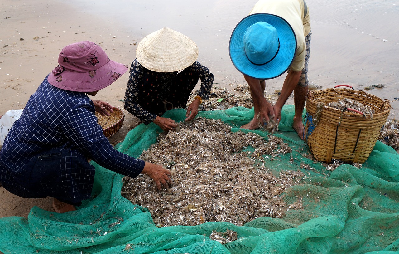 Žmonės, Žvejų Kaimelis, Gyvenimas, Vietnamas, Nemokamos Nuotraukos,  Nemokama Licenzija